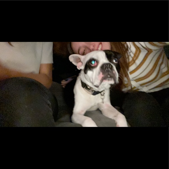 Meet your Posher, Rosemarie - Picture 1 of 1